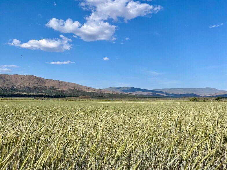 More Photos Of 425-940 Constantia Rd, Doyle Land For Sale