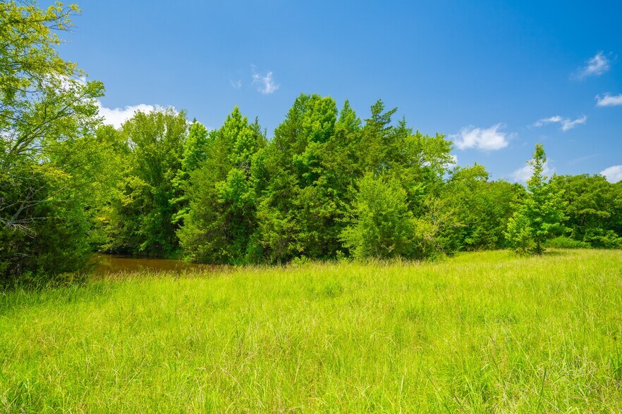 More Photos Of County Road 3311, Omaha Land For Sale