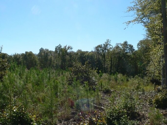 Primary Photo Of 16215 Eltham Rd, Lanexa Land For Sale