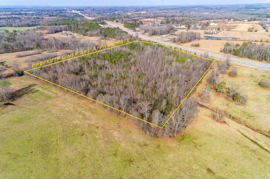 Primary Photo Of 21581 AL Highway 157, Town Creek Land For Sale