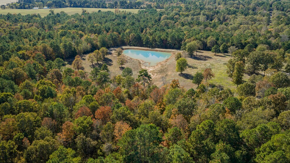 More Photos Of 12806 Wood Rd, Diana Land For Sale