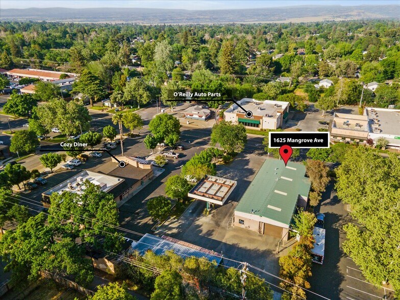 More Photos Of 1625 Mangrove Ave, Chico General Retail For Sale