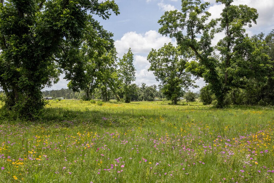 More Photos Of 000 US Highway 90, Live Oak Land For Sale