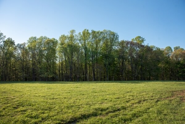 More Photos Of 115 Kidd Rd, Colfax Land For Sale