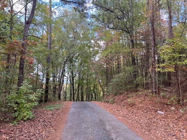 More Photos Of 100 Valley View Farm Rd SW, Cartersville Land For Sale