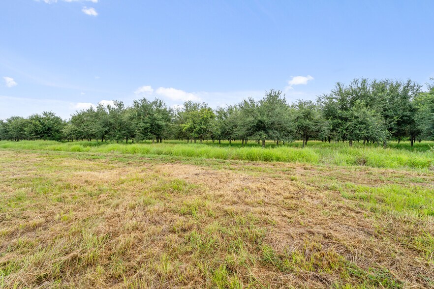 More Photos Of 23111 FM 1462 Rd, Damon Land For Sale