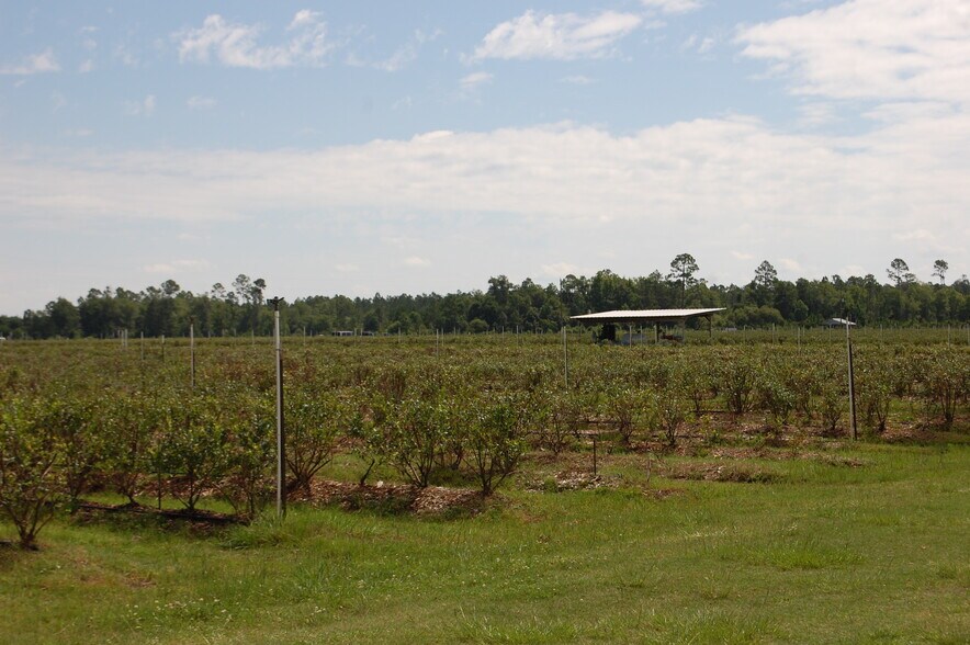 More Photos Of 18811 SE 243rd St, Hawthorne Specialty For Sale