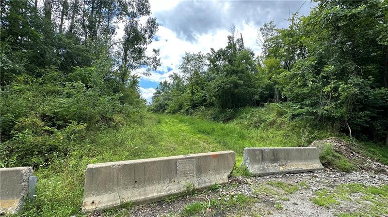 More Photos Of Lot 1 Low Hill Rd, Brownsville Land For Sale