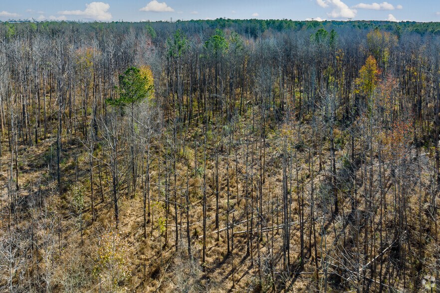 More Photos Of 215 Jimmy DeLoach Pky, Savannah Land For Sale