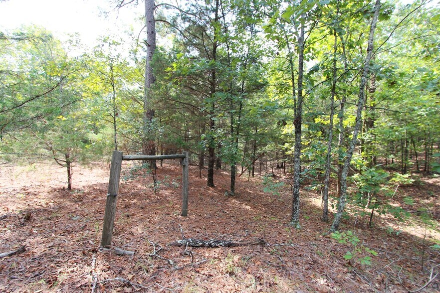 More Photos Of 226 Blythe rd, Greenbrier Land For Sale