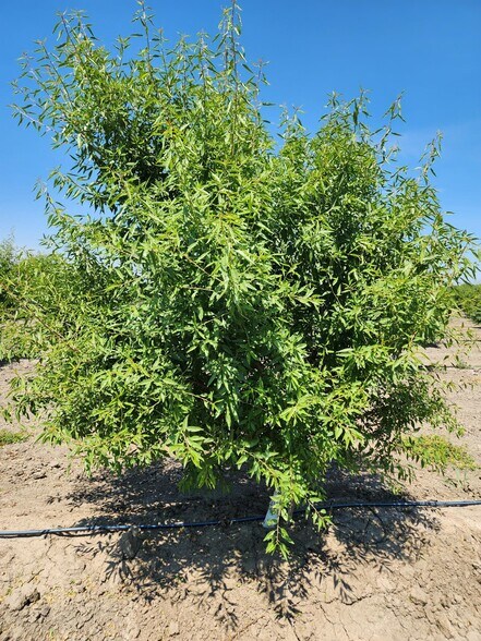 More Photos Of 0 0 Cranmore Rd., Robbins Land For Sale