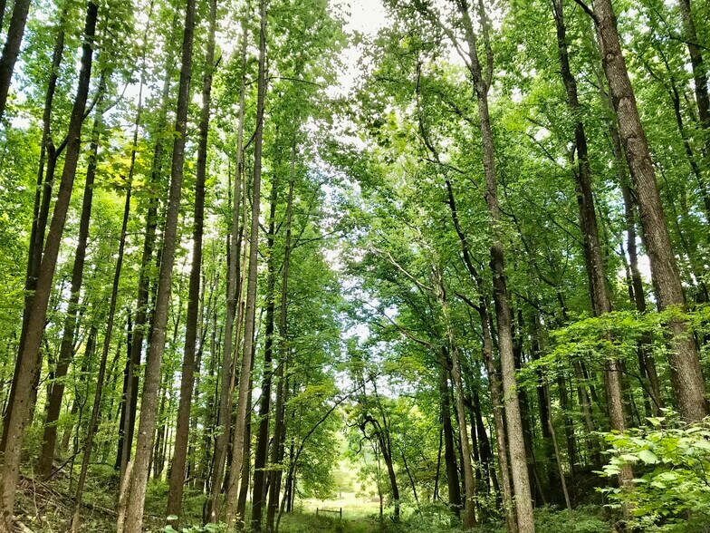 More Photos Of Near Little Washington Virginia, Washington Land For Sale