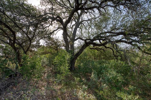 More Photos Of 271 The Rock Rd, Buchanan Dam Land For Sale