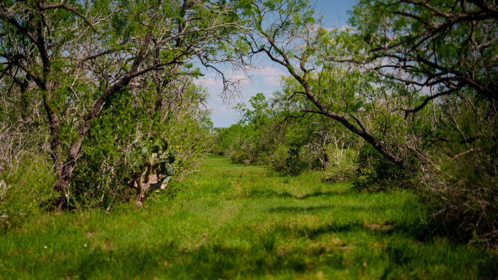 More Photos Of FM 791, Campbellton Land For Sale