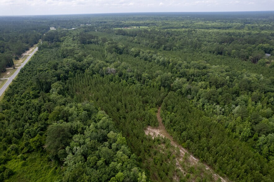 More Photos Of 425 Old River Rd, Bloomingdale Land For Sale