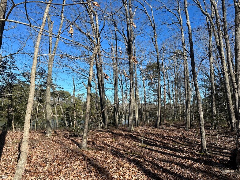 More Photos Of 00 Taylors Beach rd, Reedville Land For Sale