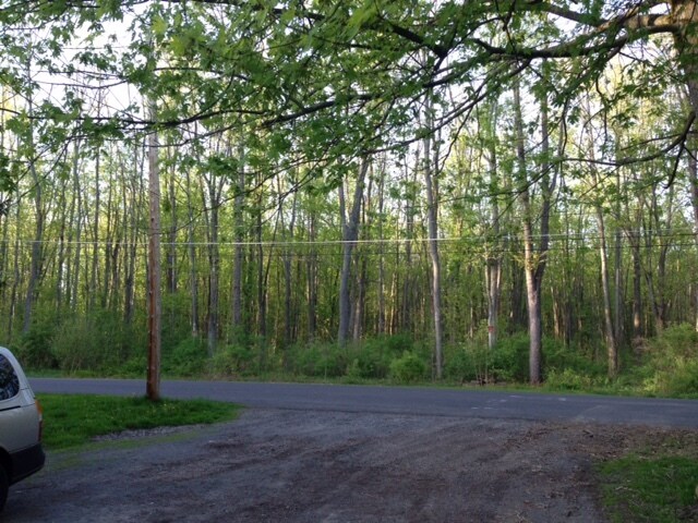 More Photos Of 9541 Horseshoe Island Rd, Clay Specialty For Sale