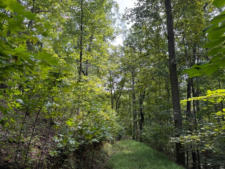More Photos Of Fuller Mountain Rd, Fairmount Land For Sale