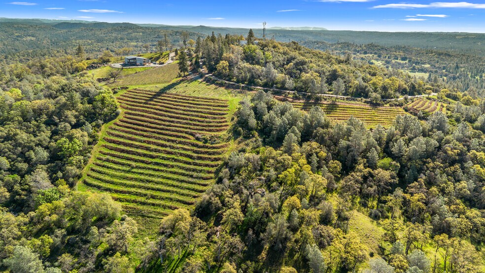 More Photos Of 6781 Tower, Somerset Winery Vineyard For Sale