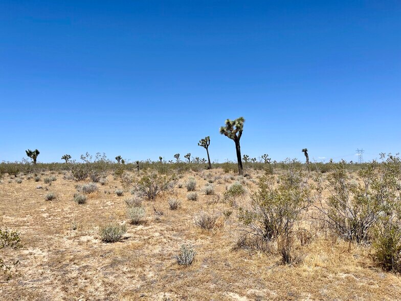 More Photos Of Nevada Rd @ South St., Phelan Land For Sale