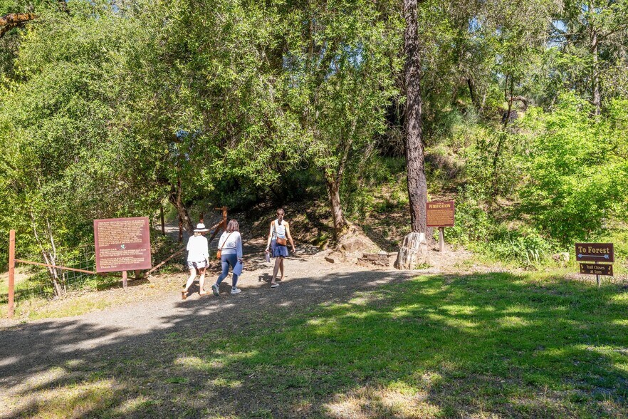 More Photos Of 4100 Petrified Forest Rd, Calistoga Land For Sale