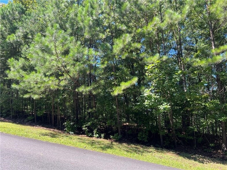 More Photos Of 16 Hawks Branch #123, White Land For Sale