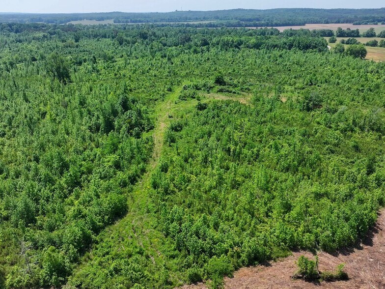 More Photos Of 0 State Route 22a, Enville Land For Sale