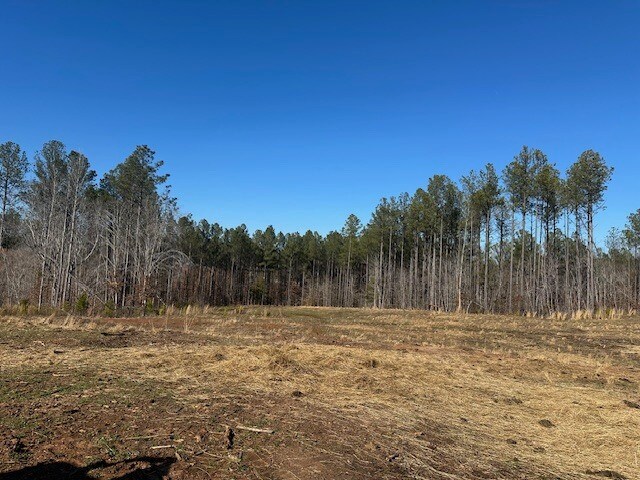 More Photos Of 693 Elledge Road, Ware Shoals Land For Sale