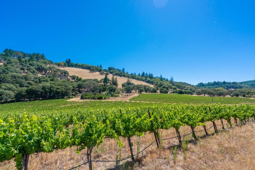 More Photos Of 7044 Bennett Valley Rd, Santa Rosa Land For Sale