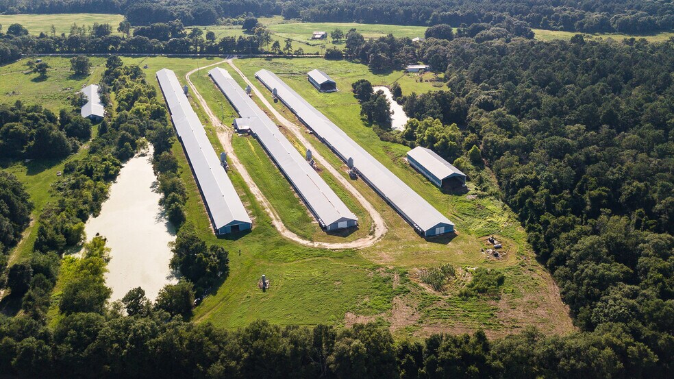 More Photos Of 1291 Myron Hart Rd, Coolidge Land For Sale