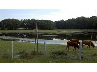 More Photos Of 5202 Wesley Chapel Loop, Wesley Chapel Land For Sale