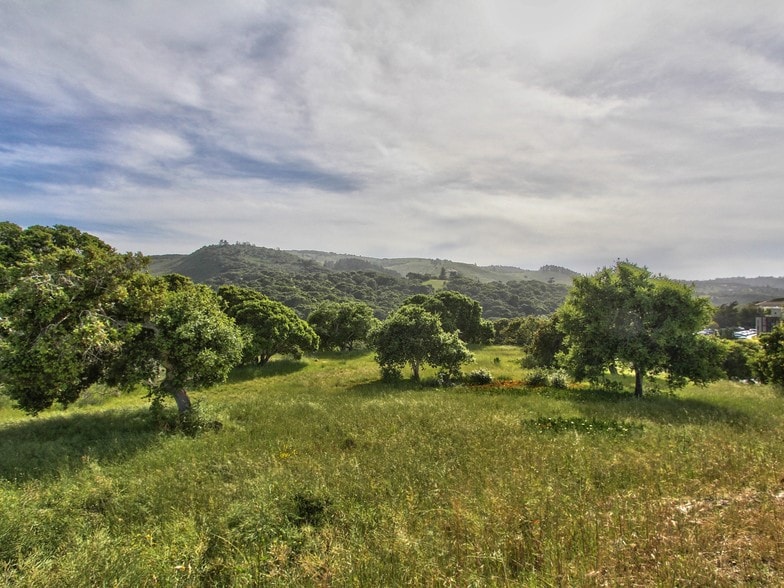 More Photos Of , Monterey Land For Sale