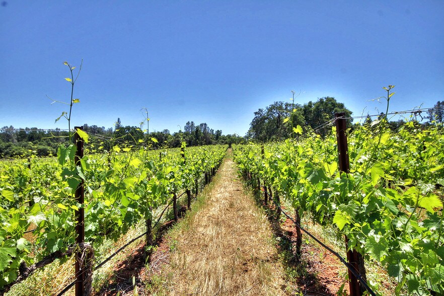 More Photos Of 3040 Ponderosa Rd, Shingle Springs Specialty For Sale