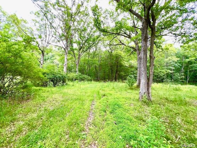 More Photos Of 7584 NY-97, Narrowsburg Land For Sale