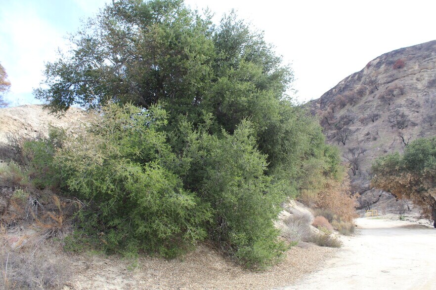 More Photos Of 31029 Hasley Canyon Rd, Castaic Land For Sale