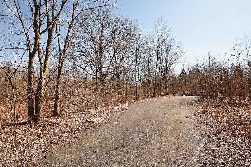 More Photos Of Brads Way, Homer Glen Land For Sale