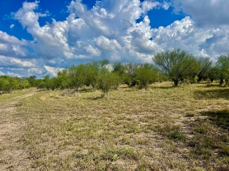 More Photos Of 695 County Road 381, San Antonio Land For Sale