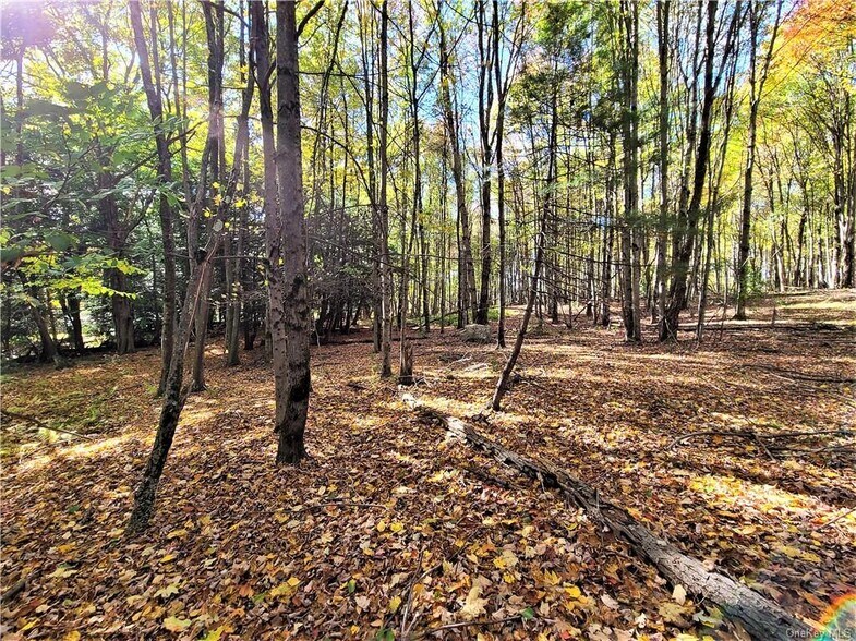 More Photos Of Kaufman Rd, Monticello Land For Sale