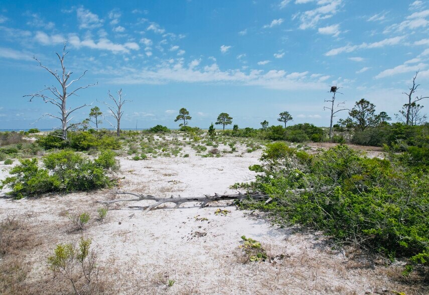 More Photos Of Horn Island, Pascagoula Land For Sale