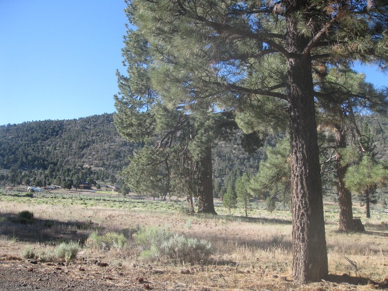 More Photos Of 2824 Erwin Ranch Rd, Big Bear City Land For Sale