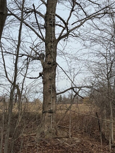 More Photos Of Approx. 4593 S Madison Rd, Madison Land For Sale