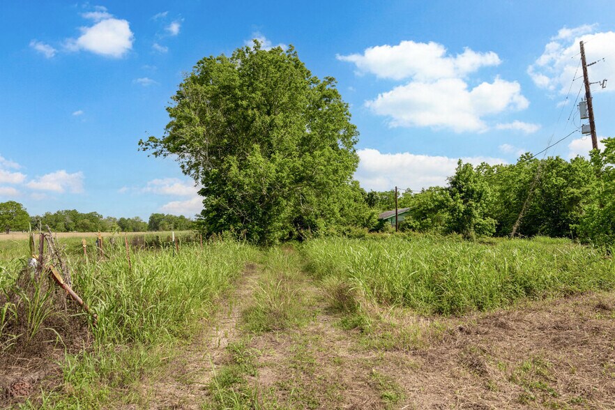 More Photos Of 2932 W FM 1462, Rosharon Land For Sale