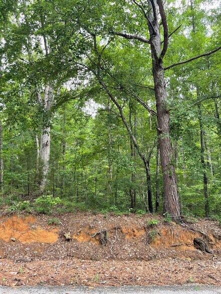 More Photos Of 17796 Dry Branch loop, Northport Land For Sale