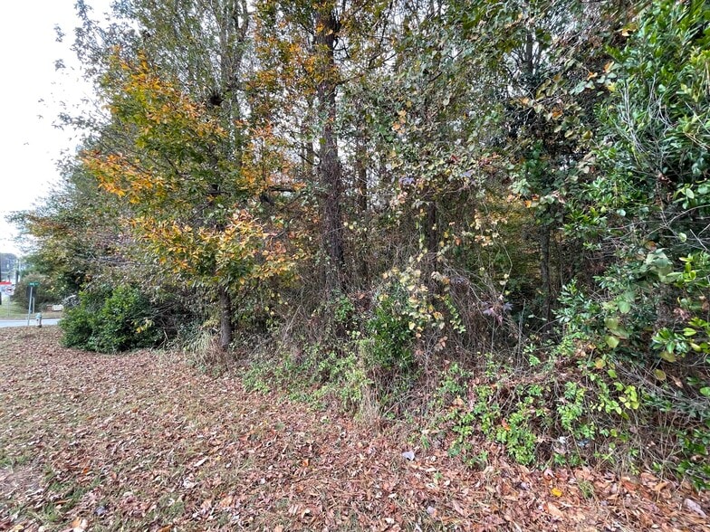 More Photos Of 4446 Glenwood Rd, Decatur Land For Sale