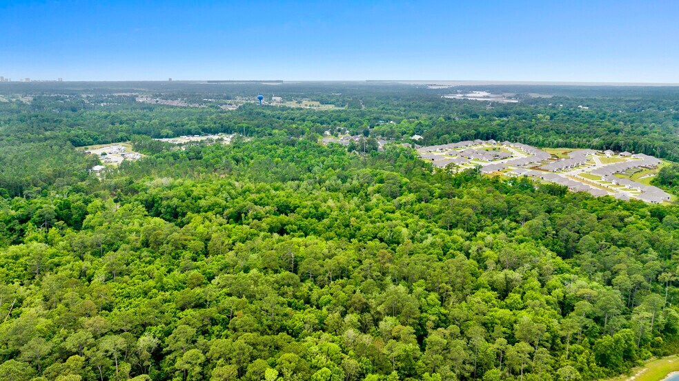 More Photos Of 19924 County Road 10, Foley Land For Sale
