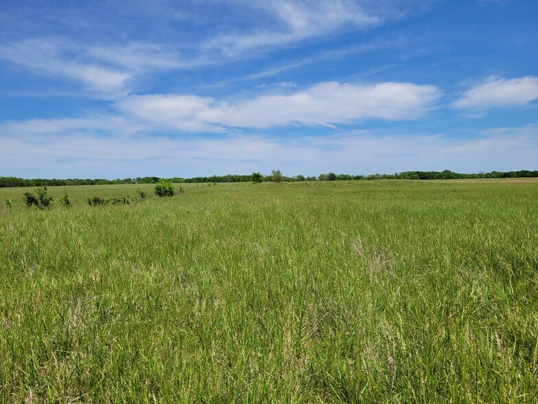More Photos Of 110 Private Road 7316, Clarksville Land For Sale
