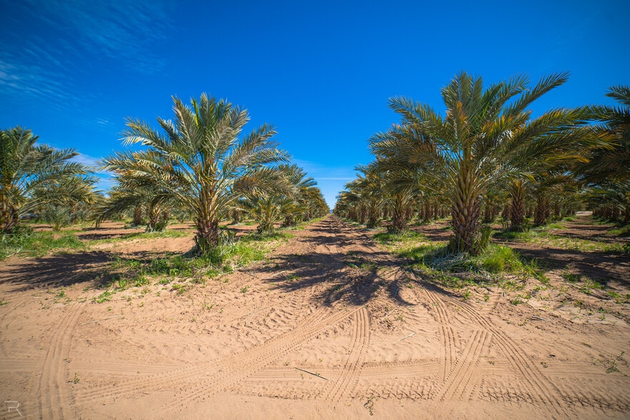 More Photos Of 17587 S Ave 3 1/2 E, Yuma Land For Sale