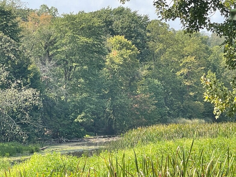 More Photos Of 10411 Scatell St, Canal Fulton Land For Sale