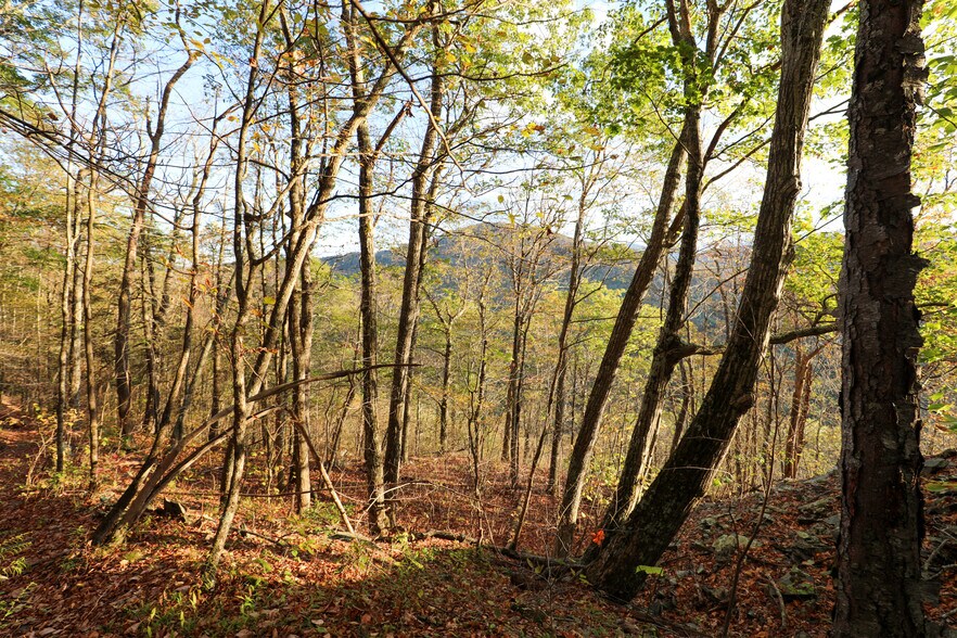 More Photos Of TBD NY-28, Phoenicia Land For Sale