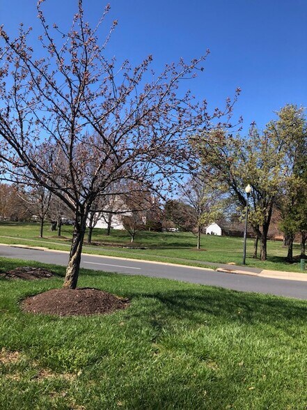 More Photos Of 20935 Potomac View Rd, Sterling General Retail For Lease